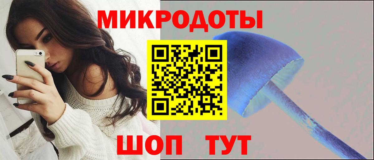 цены   Псилоцибиновые грибы Magic Shrooms  Вход с VPN  Хасавюрт 